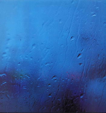 the-sneetches-sometimes-thats-a-304690